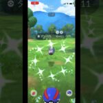 ポケモンgo 野生の色違いダンバルゲットチャレンジ　2024復刻コミュニティデイ　#pokemongo #shiny