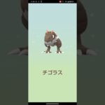 アーケンの色違い狙ってみた！#ポケモン #ポケモンgo #pokemon #pokemongo #shorts