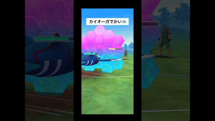 カイオーガでかい🐟#ポケモンgoバトルリーグ #かせきカップ#オーバーライド #カイオーガ #ルカリオ #ニョロボン#pokemongo #kyogre #lucario