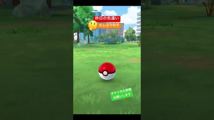 連日、色違い🤗 #ポケモンgo #ポケモン #pokemongo #pokemon #色違い #色違いポケモン #shinypokemon #shiny #チャンネル登録お願いします #shorts