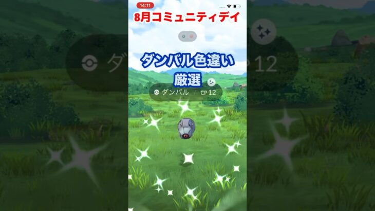 【ポケモンgo】8月コミュニティデイはダンバル！色違いゲットだぜ！　#ポケモン　#ポケモンgo #色違い　#ダンバル　#メタグロス　#shorts #おすすめ　#パチストラッシュ