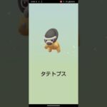 アーケンの色違い狙ってみたpart5！#ポケモンgo #ポケモン #pokemongo #pokemon #shorts