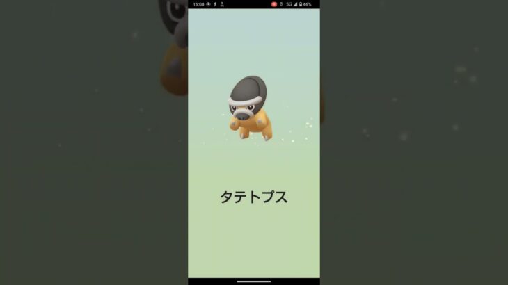 アーケンの色違い狙ってみたpart5！#ポケモンgo #ポケモン #pokemongo #pokemon #shorts