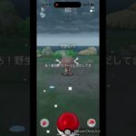 でっかいウパー #pokemon #ポケモンgo #ポケモン
