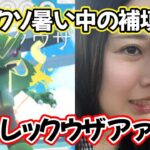 【過酷☀】レックウザvs暑さvs私😇💦こんな補填ってなんなのー？😭💢ポケモンGO Pokémon GO  Japan  일본인 포켓몬고