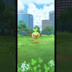 ガラルの呼び声 (3/19)【ポケモンGO】