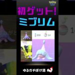 【祝！ミブリム、初ゲットExcellentでアメ14個！】 #ポケモンGO #pokemongo #ミブリム #エスパー #イベント #ポケモン