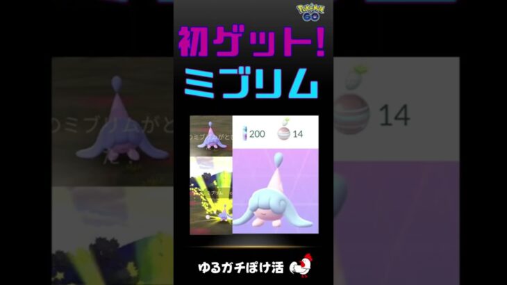 【祝！ミブリム、初ゲットExcellentでアメ14個！】 #ポケモンGO #pokemongo #ミブリム #エスパー #イベント #ポケモン