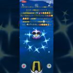 ✨【絶対見逃し厳禁】【激レア】【色違いパールル】【ポケモンGO】【大スクープ】🐚📹❤️‍🔥🤗🥰😎✨綺麗紫色違いパールルちゃん降臨✨イベントじゃ無い色違いパールル神引きする凄さ分かります？