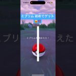 ミブリム   初めてゲット😍‼️  ポケモンGO   妖精🧚⁉️😳