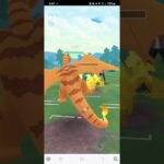 ポケモンGO 通常マスターリーグ アシレーヌ、コピーリザードン、ミュウツー