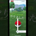 無課金で、ポケモンGO  色違いポニータゲット、ギャロップに進化！