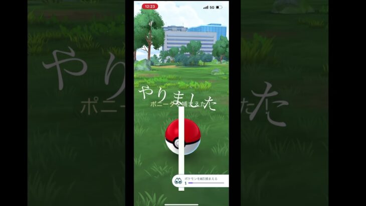 無課金で、ポケモンGO  色違いポニータゲット、ギャロップに進化！