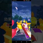 お相手のポケモン珍しめ【ポケモンGO】