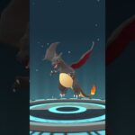 ポケモンGO色違いダイマックスヒトカゲをリザードンまで進化させて行くー！