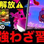 【急いで見て！】神アプデ＆ダンバル突然の新ワザ習得！一人討伐のために知るべき事＆クルミルのコミュニティデイも！【ポケモンGO】