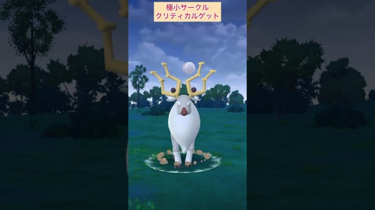 【難易度低ズル】アヤシシ極小サークルクリティカルゲット！【ポケモンGO】