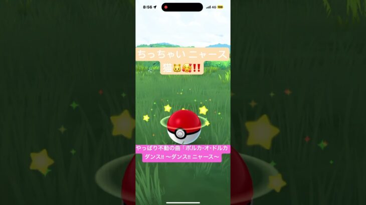 ちっちゃい ニャース🥰‼️ 「ポルカ・オ・ドルカ ダンス!! 〜ダンス!! ニャース〜　ポケモンGO