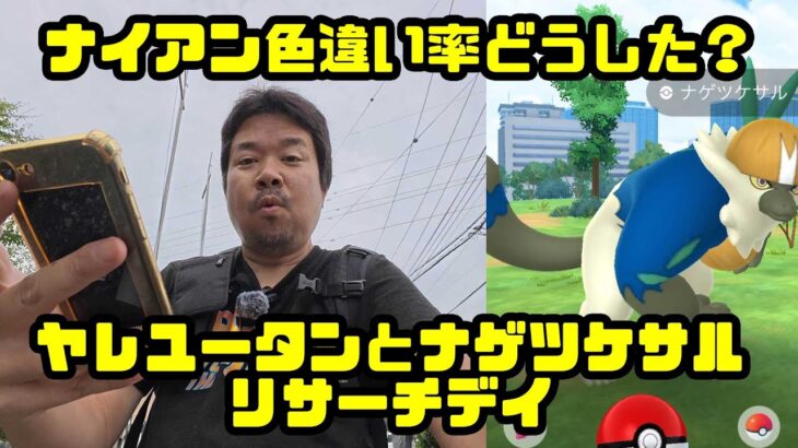 【ポケモンGO】ナイアン色違い率どうした？ヤレユータンとナゲツケサルのリサーチデイ