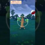 【難易度低】ウソッキー極小サークルクリティカルゲット！【ポケモンGO】