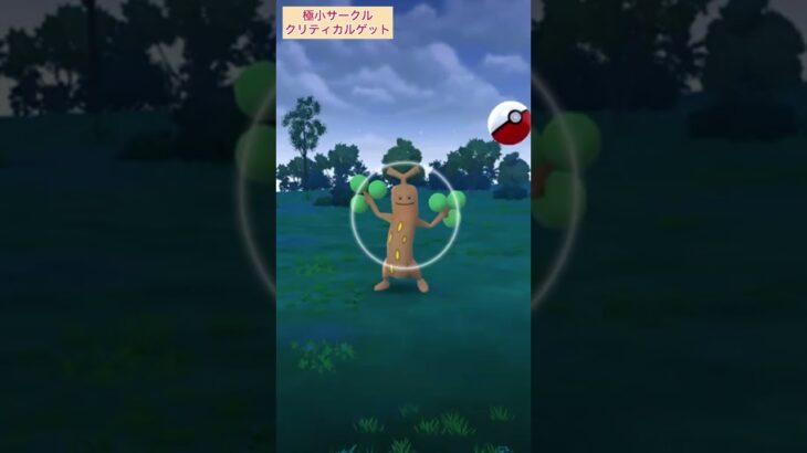 【難易度低】ウソッキー極小サークルクリティカルゲット！【ポケモンGO】