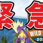 【ポケモンGO緊急】今すぐこのポケモンの確保を！あと〇時間しかない…でも発表…【今やる事＆ワイルドエリア事情】