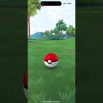 【ポケモンGO】久しぶりにポケ活してみたら…