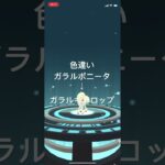 ポケモンGO 色違いガラルポニータ出現！色違いガラルギャロップへ進化！ #pokémon #ポケモンgo #ポケモン