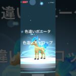 ポケモンGO 色違いポニータ出現！色違いギャロップへ進化！ #pokémon #ポケモンgo #ポケモン #pokemongo