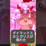 【ポケモンGO】キョダイマックスホシガリスが現れた!!「巨大化のナゾ（2/3）」【✨Dynamax Skwovet Pokémon GO ✨】