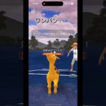 [ポケモンGO]Gギャロップがワンパンする！ #ポケモンgo #ポケモン #バトルリーグ #エスパーカップ #shorts