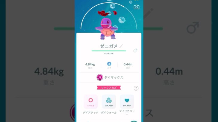 【ポケモンGO】ゼニガメ☆進化動画‼️（あーたんといっしょ）@arata.channel .japan.Sep2024 #shorts