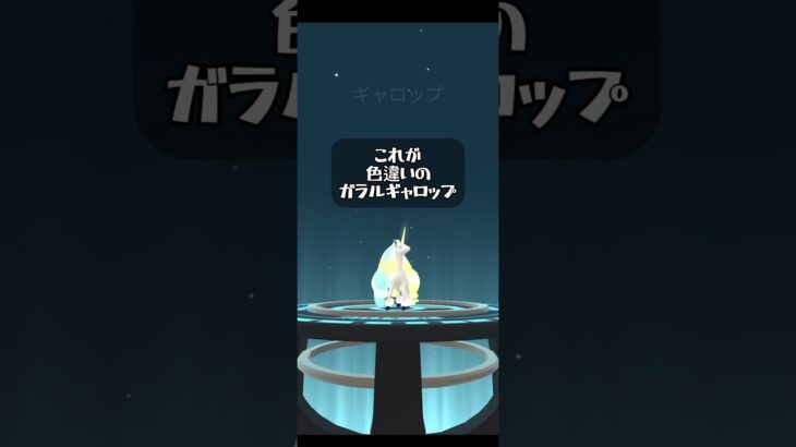 【ポケモンGO】色違いのガラルポニータを進化させていくよ！#ポケgo #ポケモンgo #ポケモン #pokemongo #pokemon #ゲーム実況 #ゲーム #ポケモンsv