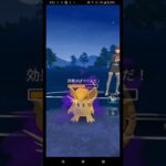 サカキのおとりにムクホークがぶっ刺さり！？　#ポケモンGO　#shorts