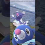 アシマリ｜Popplio｜オシャマリ｜Brionne｜アシレーヌ｜Primarin｜ShinyPokémon【ポケモンGO】PoKeMoN GO AR｜AR動画｜GOsnapshot