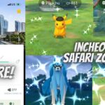 ✨Shiny Hunting Rare Backgrounds at Incheon Safari Zone in Pokemon Go LIVE!✨