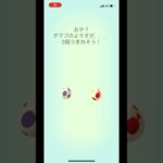 ポケモンgo 10キロタマゴ12キロタマゴ4連ガチャ　#pokemongo #egg