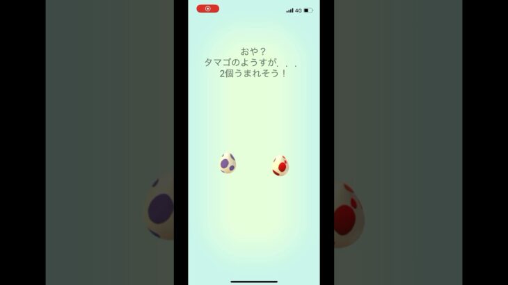 ポケモンgo 10キロタマゴ12キロタマゴ4連ガチャ　#pokemongo #egg