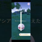 ザシアン色違いゲット！！！#ポケモンgo