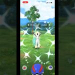 ポケモンgo 色違いガラルポニータゲットチャレンジ　2024年9月のコミュニティデイ　色違いガラルギャロップ　特別技　#pokemongo #shiny