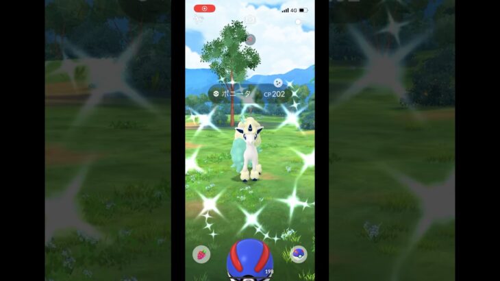 ポケモンgo 色違いガラルポニータゲットチャレンジ　2024年9月のコミュニティデイ　色違いガラルギャロップ　特別技　#pokemongo #shiny