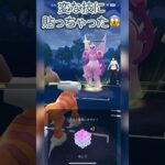 #ポケモンgo #gbl 変な技に貼っちゃった！ ランドロス ディアルガ ゼルネアス vs ミュウツー オリジンパルキア ラグラージ #shorts #マスターリーグ #pokemon