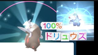 100%ドリュウズ＆技ガチャ#ポケgo #pokemon #ポケモンgo