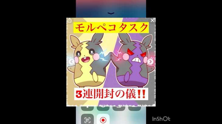 モルペコタスク3連ガチャ‼️