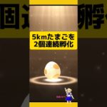 5kmたまごの2連続孵化結果！何が来るかな?#ポケモンgo #たまご孵化 #5kmたまご #孵化厳選 #pokemongo #新道ひかり