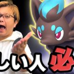 ゾロア色違いが欲しい初心者さん、これ絶対やって下さい!!!【ポケモンGO】