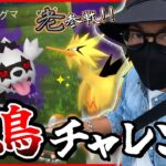 【ポケモンGO】マスターボール・・・最終章へ！！色違いガラル三鳥を捕獲せよ！！「老」と歩けば何かが起こる！？【筋肉バトル】