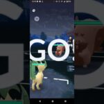 ポケモンGOガラルカップ対戦リーフィア＆ブラッキー＆カラマネロ　全5戦⑤