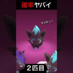 、、、か、確率どうなってるの！？#ポケモンGO#色違いゾロア#Shorts