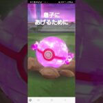 ポケモンGO#Short#shorts #ポケモンgo #最高